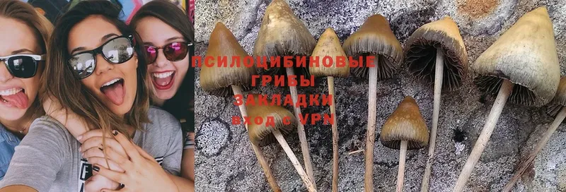 Псилоцибиновые грибы Magic Shrooms Нерехта